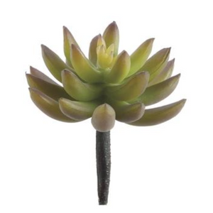 4" Agave Pick
