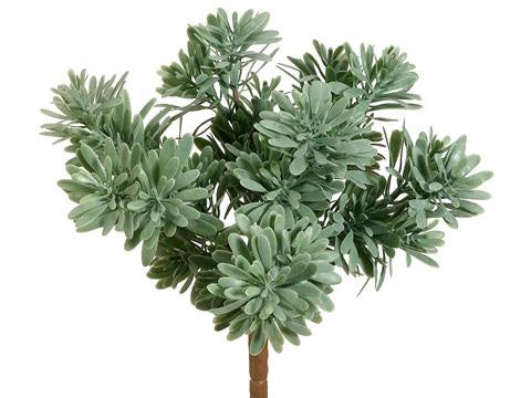 succulent looks like grass 9" Succulent Grass Bush X7-GR/FS – Abode Mercantile