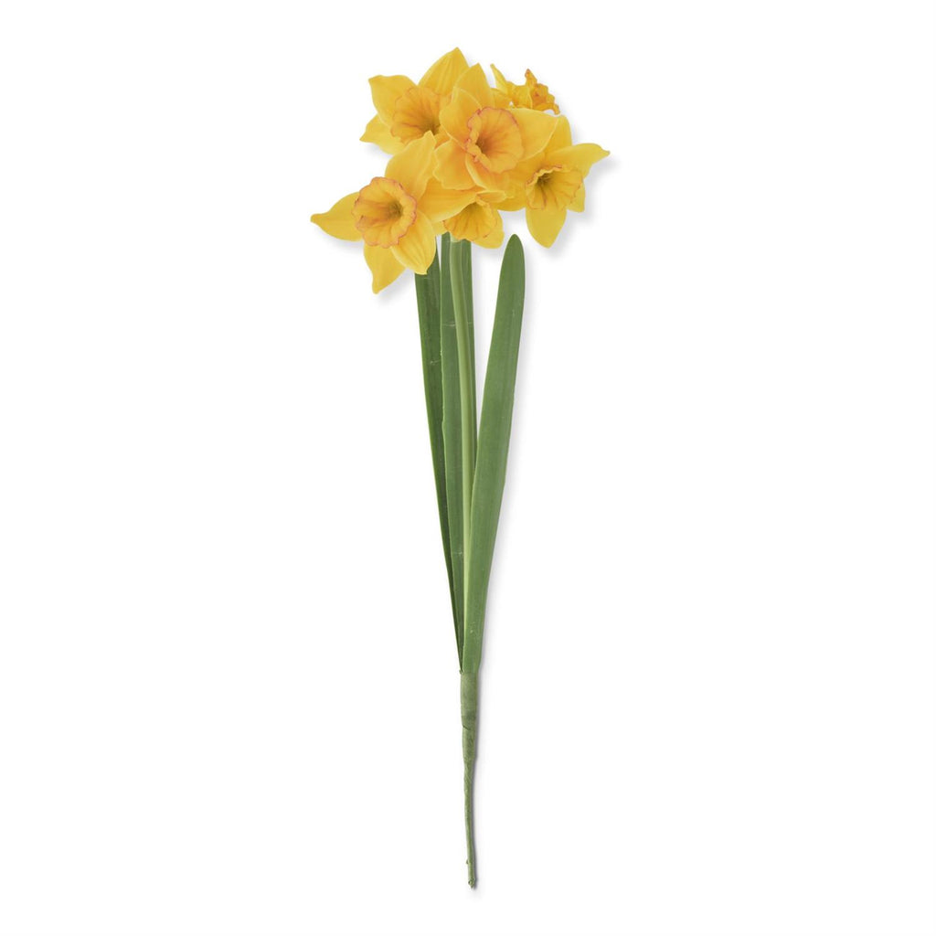 18" Yellow 6 Bloom & Bud Daffodil Stem