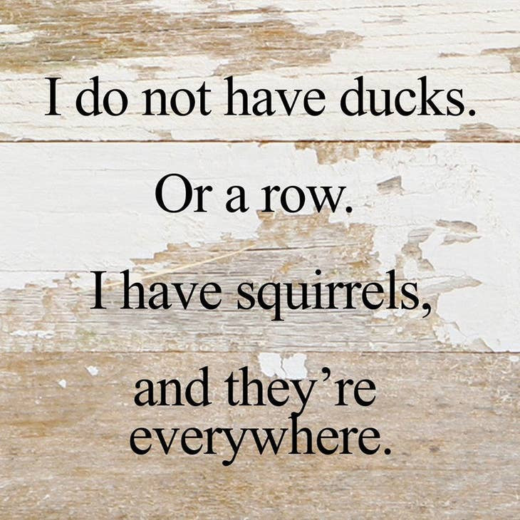 Sign - I do not have ducks or a row - 6x6