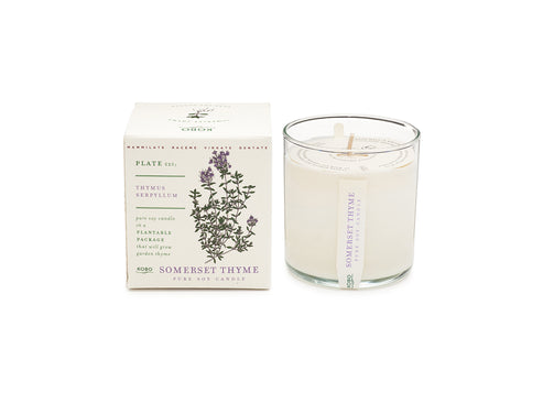 Somerset Thyme-10oz Candle