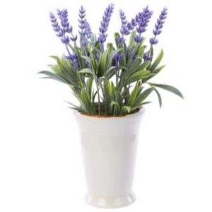 11" Lavender In Ceramic Pot by Abode Mercantile