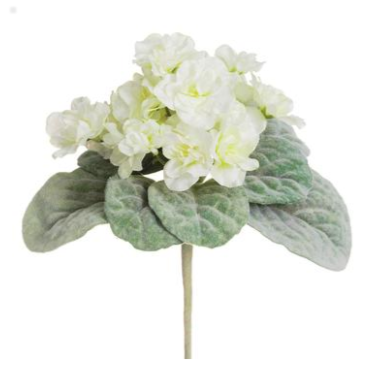 8" African Violet-Cream