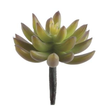 4" Agave Pick
