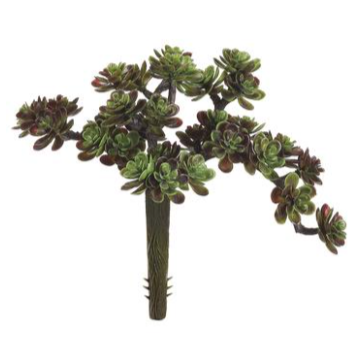 5" Sedum Pick