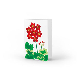 Red Geranium Boxed Note Cards, Set of 10