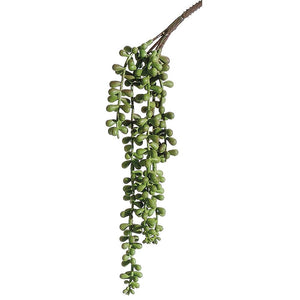 13" Soft String of Pearls Spray Green