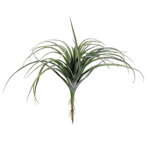 11" Tillandsia GR/GY by Abode Mercantile