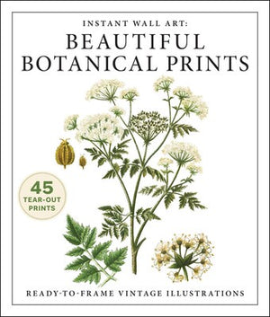 Instant Wall Art: Beautiful Botanical Prints