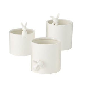Peeking Bunny Pots-Assorted