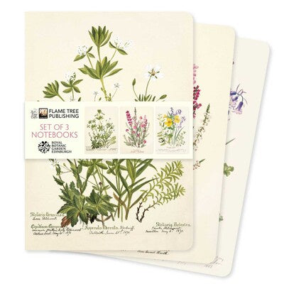 Royal Botanic Gardens Edinburgh Set of 3 Standard Notebooks