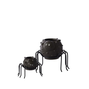 Silly Spider Pot