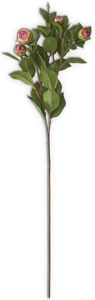 DISC28" Pink 5 Bud Peony Stem