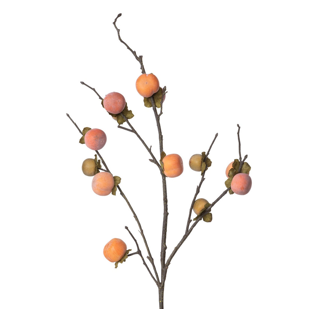 Persimmon Branch-PHC