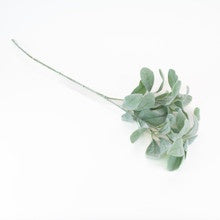 Lambs Ear Spray-27"-Green