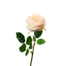 Real Touch Blush English Rose-19