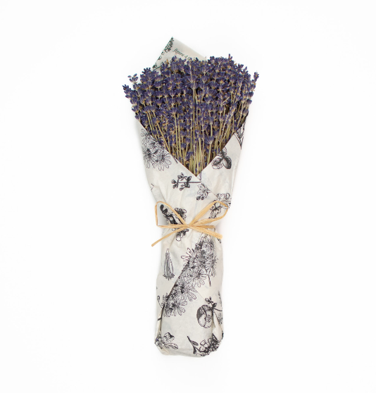 French Lavender Bundle
