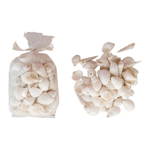 Shells In A Bag